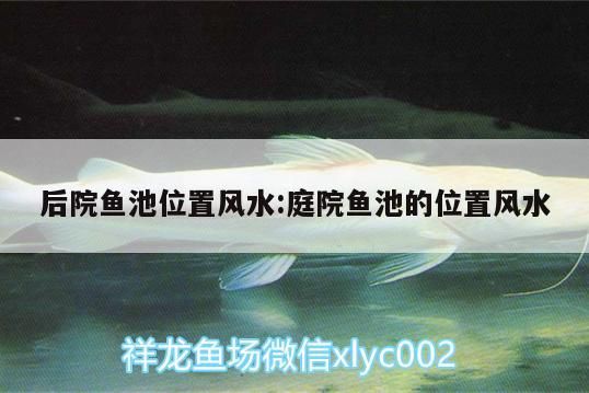 后院魚池位置風水:庭院魚池的位置風水