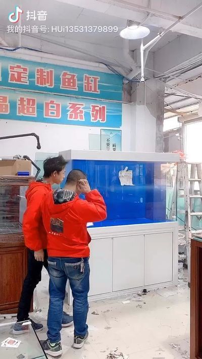 萊蕪龍魚專賣店:濟南市萊蕪區哪里有賣魚缸的? 觀賞魚百科 第1張 萊蕪龍魚專賣店:濟南市萊蕪區哪里有賣魚缸的? 萊蕪龍魚專賣店:濟南市萊蕪區哪里有賣魚缸的? 觀賞魚百科 第1張