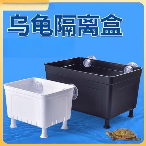 隔離盒哪種材質最好？（養龜用的隔離盒這么多,你真的選對了嗎） 隔離盒哪種材質最好？（養龜用的隔離盒這么多,你真的選對了嗎） 龍魚百科 第2張