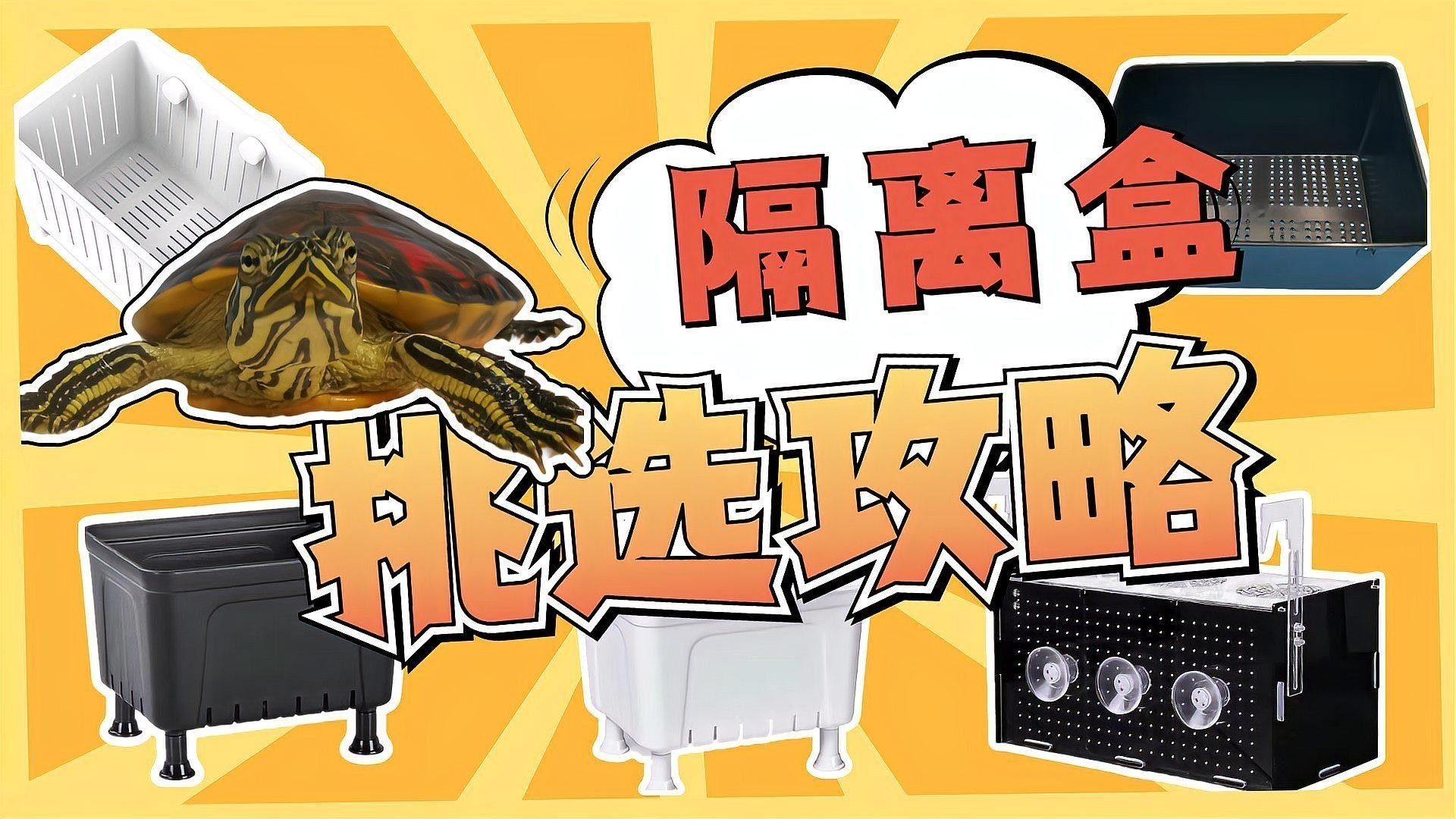 隔離盒哪種材質最好？（養龜用的隔離盒這么多,你真的選對了嗎） 隔離盒哪種材質最好？（養龜用的隔離盒這么多,你真的選對了嗎） 龍魚百科 第5張