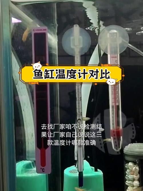 金龍魚溫度計(jì)推薦（金龍魚溫度計(jì)排行榜京東水族溫度計(jì)排行榜京東水族溫度計(jì)排行榜） 金龍魚溫度計(jì)推薦（金龍魚溫度計(jì)排行榜京東水族溫度計(jì)排行榜京東水族溫度計(jì)排行榜） 龍魚百科 第11張