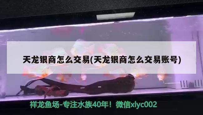 天龍銀商怎么交易(天龍銀商怎么交易賬號)