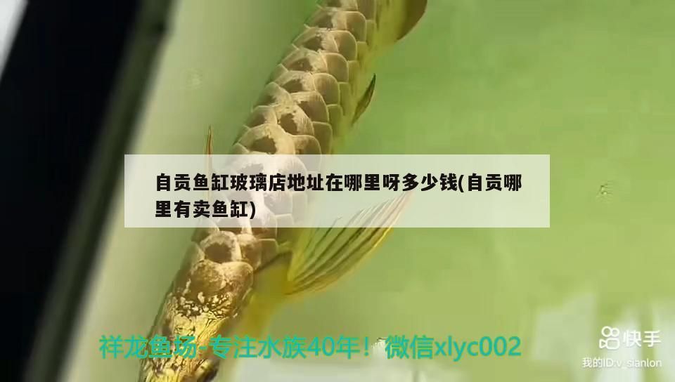 祥龍魚場有提供龍魚視頻嗎？，全球首家cites商業(yè)繁殖許可的龍魚養(yǎng)殖場