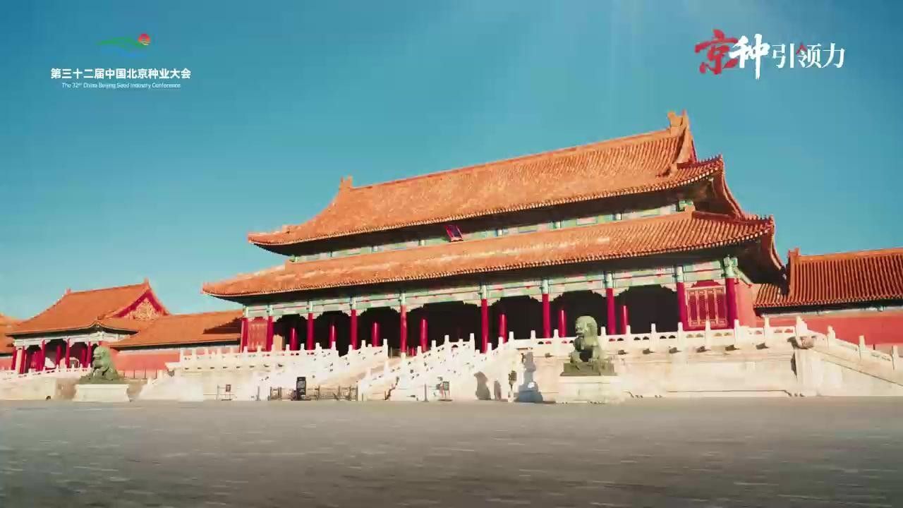 朝陽縣哪個水族館龍魚好？祥龍魚場龍魚 朝陽縣哪個水族館龍魚好？祥龍魚場龍魚 龍魚百科 第9張