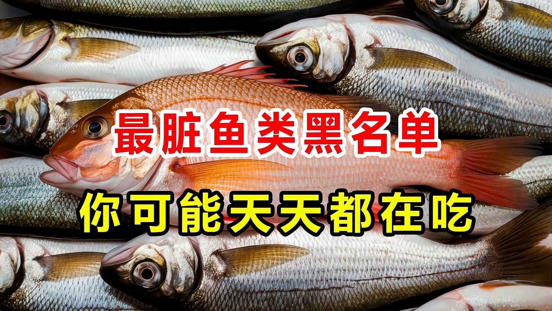 北海龍魚是世界上最臟的魚嗎（世界上“最臟”的10種魚，第一名吃糞便長大）