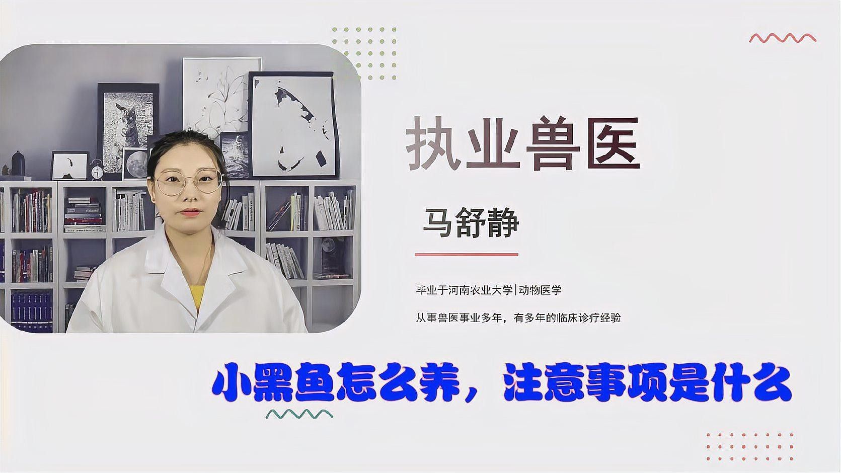 龍魚喂食應(yīng)該多久一次（龍魚喂食頻率取決于多種因素促進發(fā)色的因素） 龍魚喂食應(yīng)該多久一次（龍魚喂食頻率取決于多種因素促進發(fā)色的因素） 龍魚百科 第6張