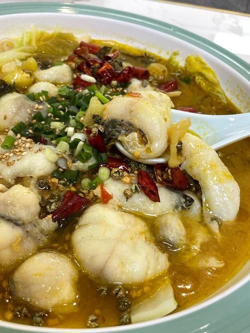 龍錦軒魚店的價(jià)格如何？（龍錦軒魚店價(jià)格如何） 龍錦軒魚店的價(jià)格如何？（龍錦軒魚店價(jià)格如何） 龍魚百科 第2張