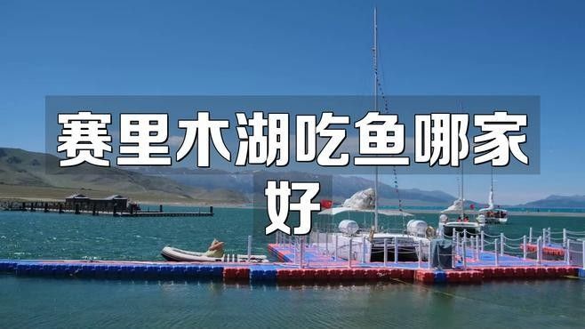 龍錦軒魚店的價(jià)格如何？（龍錦軒魚店價(jià)格如何） 龍錦軒魚店的價(jià)格如何？（龍錦軒魚店價(jià)格如何） 龍魚百科 第8張
