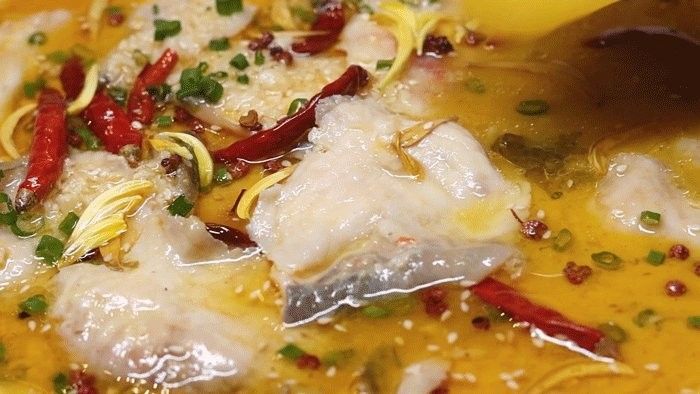 龍錦軒魚店的價(jià)格如何？（龍錦軒魚店價(jià)格如何） 龍錦軒魚店的價(jià)格如何？（龍錦軒魚店價(jià)格如何） 龍魚百科 第12張