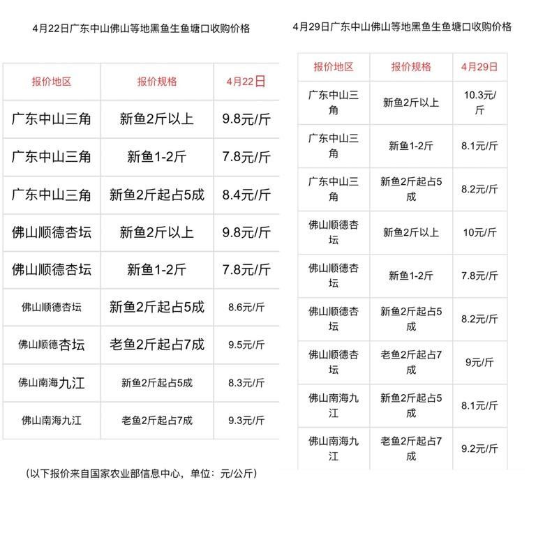 黑色龍魚的價格是多少（黑色龍魚價格一般多少錢？）