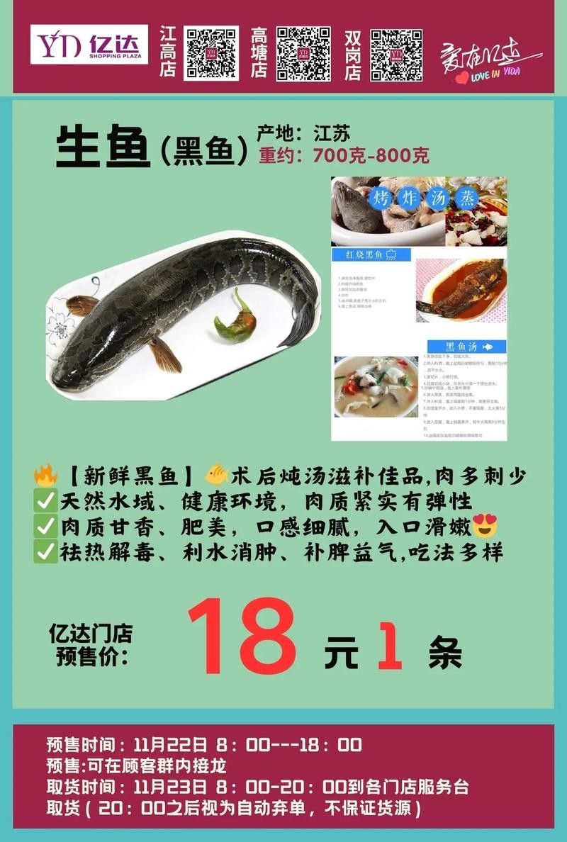 黑色龍魚的價格是多少（黑色龍魚價格一般多少錢？）