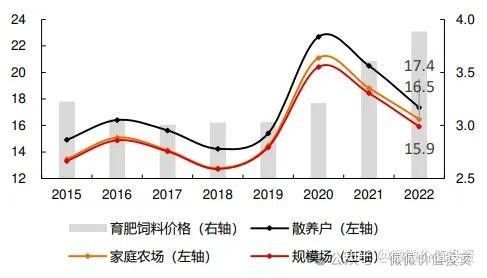清豐紅龍魚價格2023最新價格（清豐紅龍魚2023最新價格）