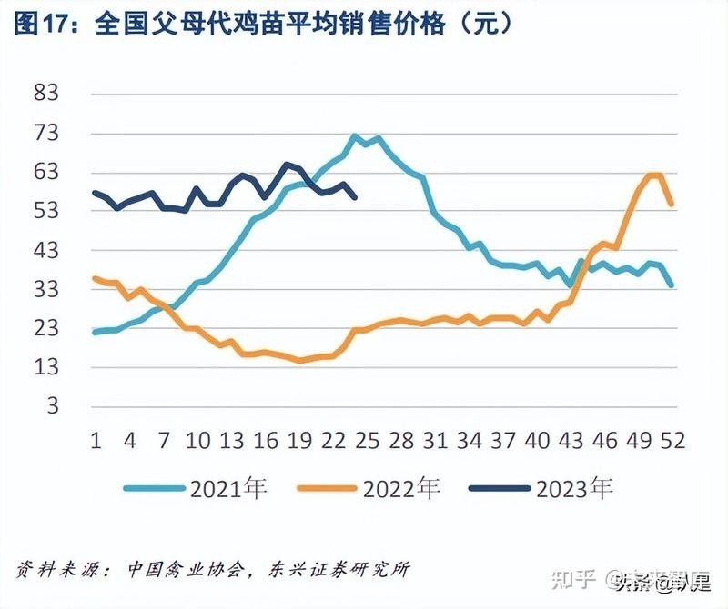清豐紅龍魚價格2023最新價格（清豐紅龍魚2023最新價格）