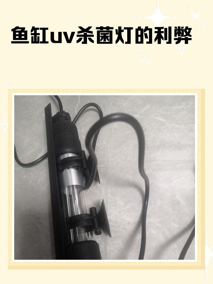 殺菌燈對龍魚有副作用嗎（殺菌燈對龍魚是否有副作用）
