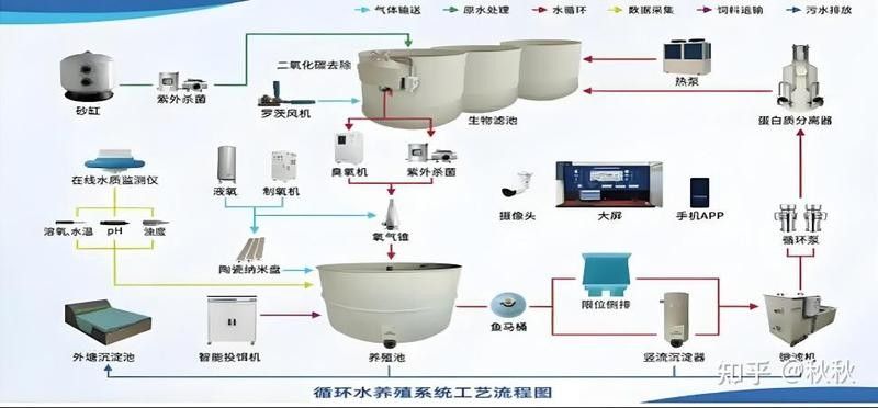 殺菌燈對龍魚有副作用嗎（殺菌燈對龍魚是否有副作用）