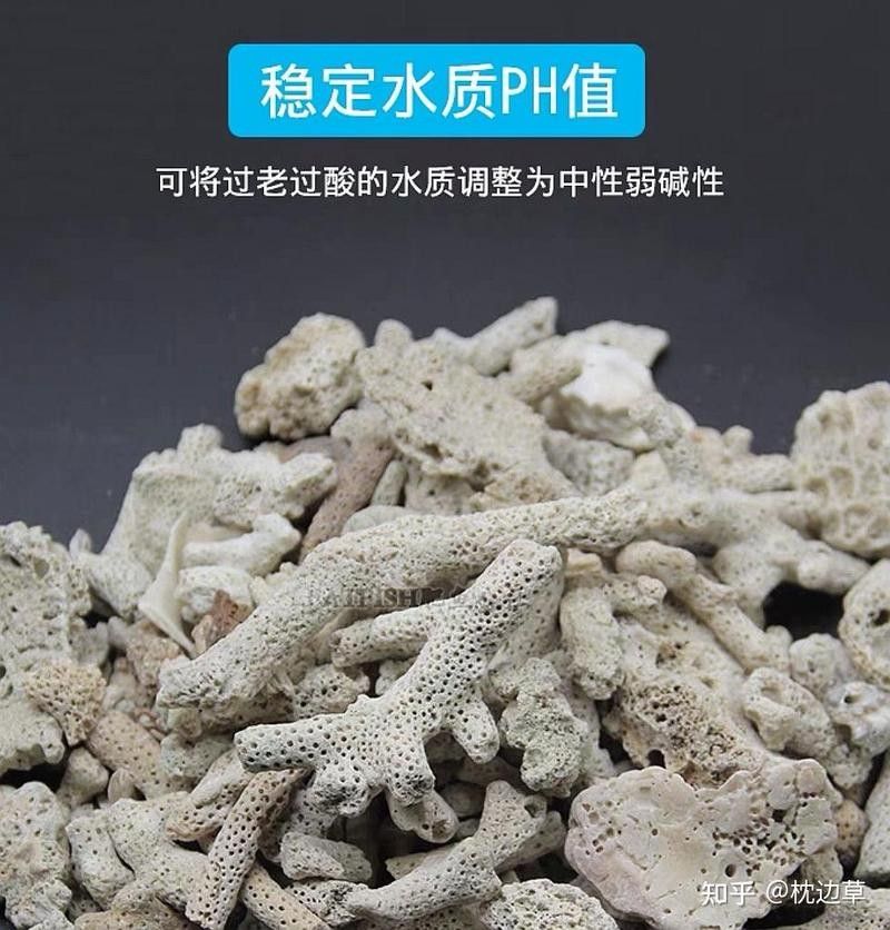 殺菌燈對龍魚有副作用嗎（殺菌燈對龍魚是否有副作用）