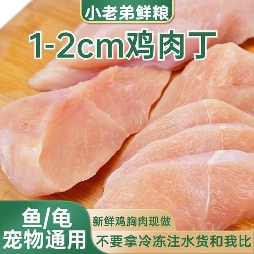 龍魚能吃雞胸肉嗎圖片視頻（龍魚可以吃雞胸肉嗎）