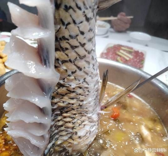 龍魚能吃雞胸肉嗎圖片視頻（龍魚可以吃雞胸肉嗎）
