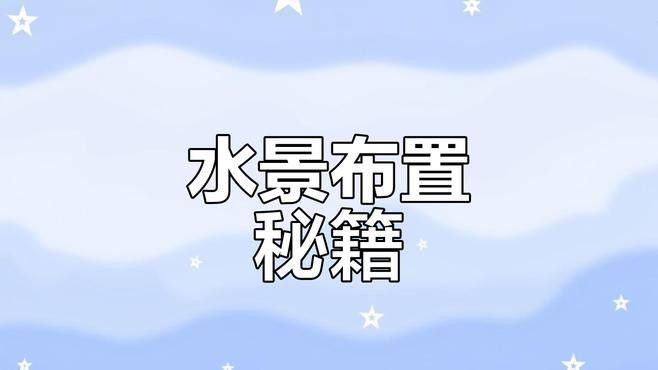 龍魚缸水草造景圖片欣賞（魚缸水草造景圖片欣賞）
