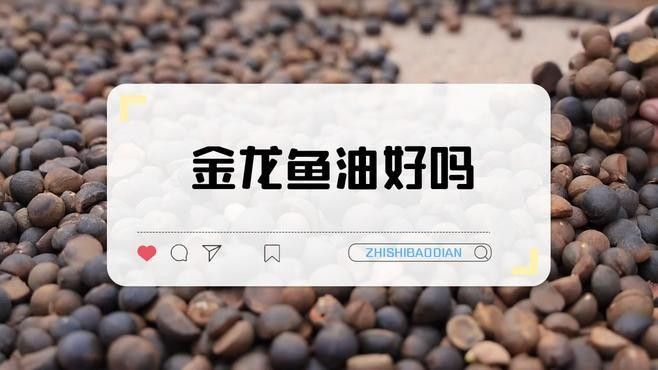 金龍魚好還是長壽花好呢（金龍魚和長壽花哪個好）