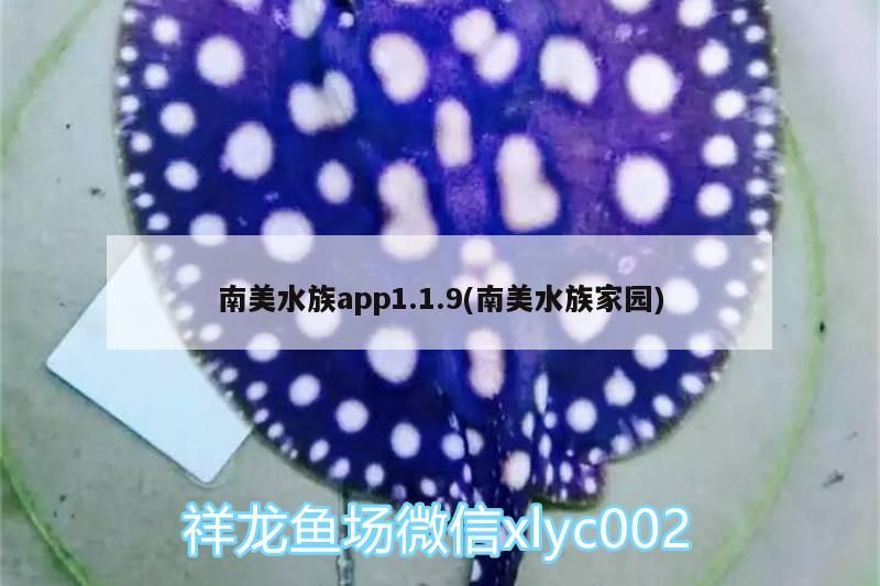 南美水族app1.1.9(南美水族家園) 南美水族app1.1.9(南美水族家園) 觀賞魚百科