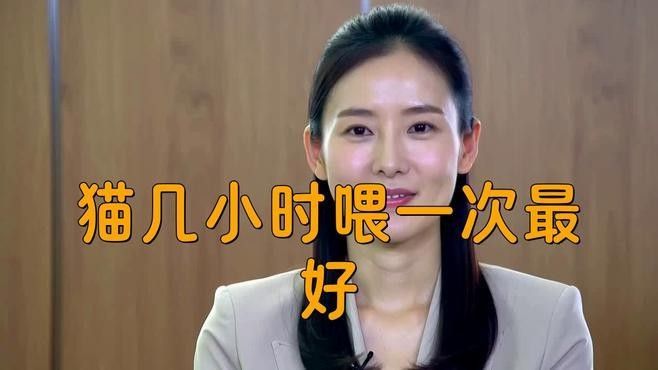 龍須貓多久喂一次