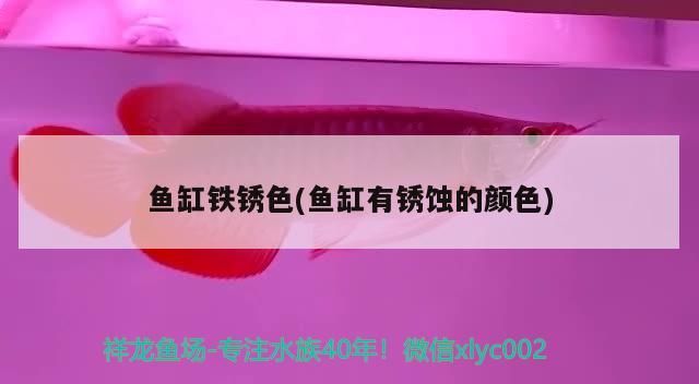 魚缸鐵銹色(魚缸有銹蝕的顏色) 魚缸鐵銹色(魚缸有銹蝕的顏色) 觀賞魚百科