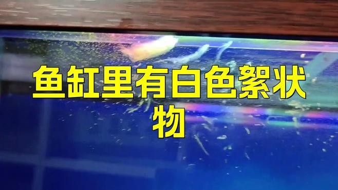 如何區分菌膜和病理性絮狀物（菌膜和病理性絮狀物是兩種不同的病理現象）