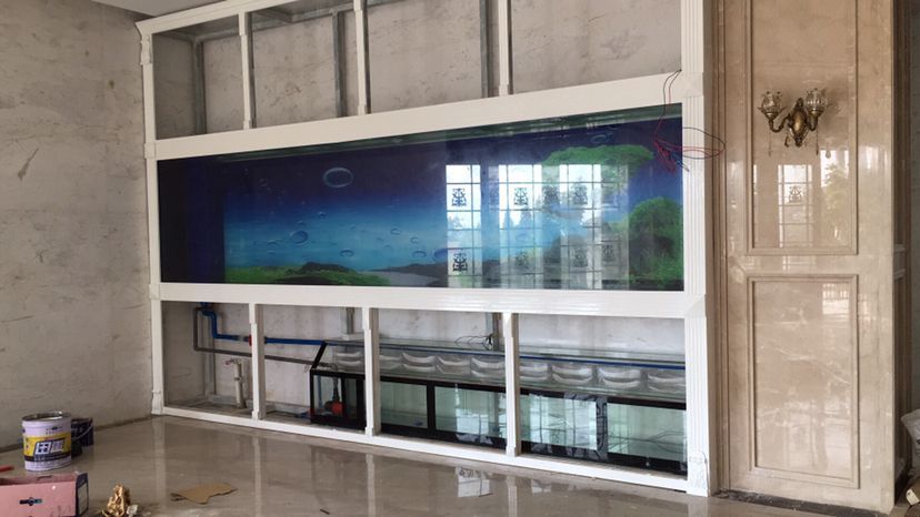 邯鄲水族館差門有了門好完美（邯鄲水族館“差門”事件提醒，水族廠家評(píng)論：就差門了） 邯鄲水族館差門有了門好完美（邯鄲水族館“差門”事件提醒，水族廠家評(píng)論：就差門了） 觀賞魚(yú)百科 第1張