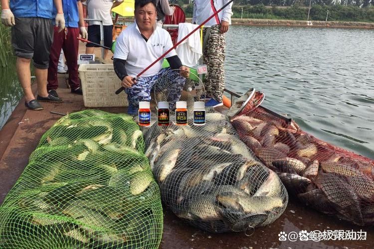 金龍魚餌料有哪些主打產品（金龍魚餌料主打產品線涵蓋多種垂釣場景和魚種需求）
