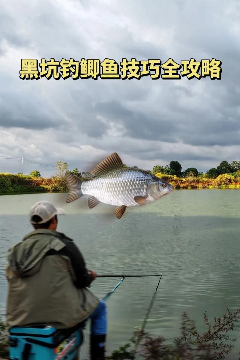 金龍魚餌料有哪些主打產品（金龍魚餌料主打產品線涵蓋多種垂釣場景和魚種需求）