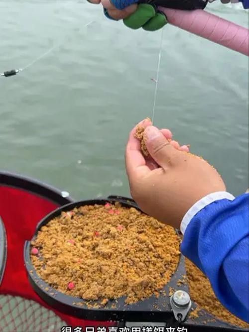 金龍魚餌料有哪些主打產品（金龍魚餌料主打產品線涵蓋多種垂釣場景和魚種需求）