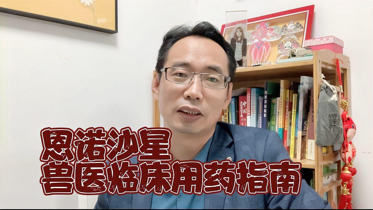 恩諾沙星和土霉素哪個更有效（不能被小瞧的恩諾沙星，5種搭配經典組方）