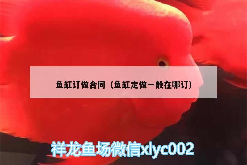 魚缸訂做合同（魚缸定做一般在哪訂）（________________）