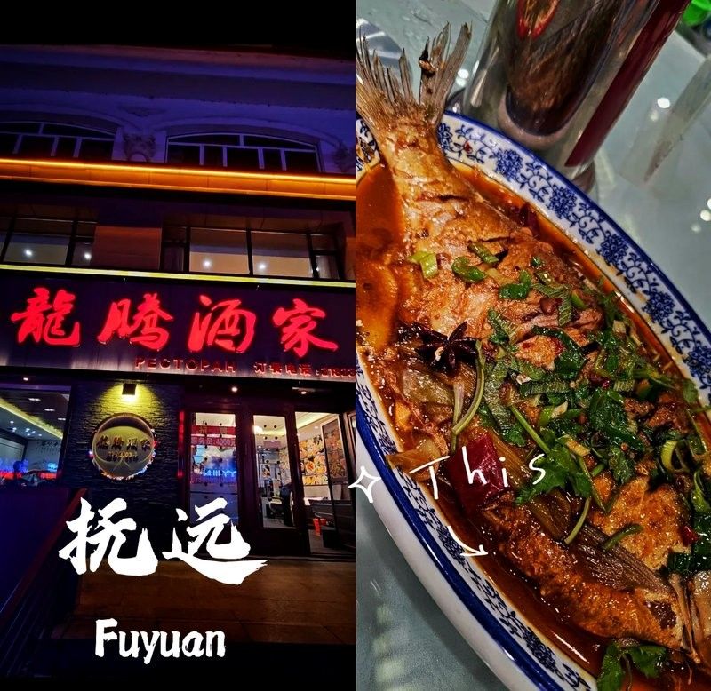 藍眼鯽魚的飼養方法，[需手動填充][需手動填充]魚可以與什么魚混養