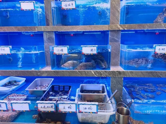 杭州龍魚批發市場的價格范圍（杭州龍魚批發市場價格范圍）
