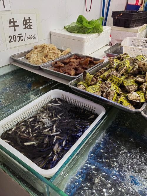 杭州龍魚批發市場的價格范圍（杭州龍魚批發市場價格范圍）
