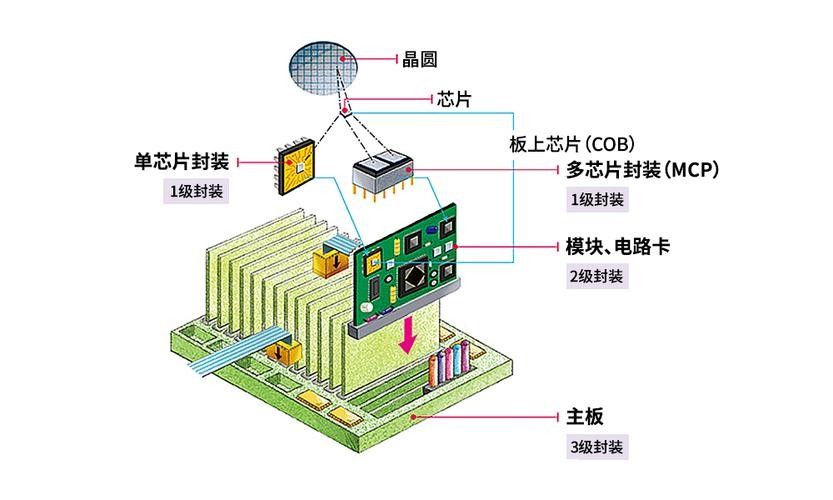 如何查詢金龍魚芯片信息？（如何查詢金龍魚芯片信息）