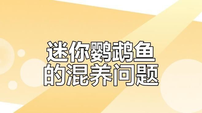 哪些魚類可以與鸚鵡魚混養（水族箱中與鸚鵡魚混養的魚類種類，適合與其他淡水魚類混養）