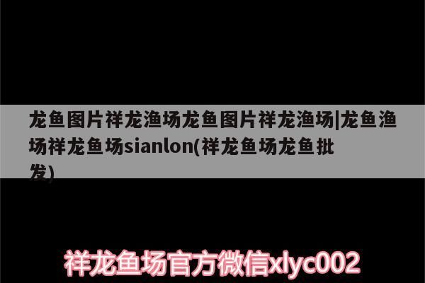 魟魚圖片大全魚：魚肚子向上翻是怎么回事（魟魚圖片大全魚肚子向上翻是怎么回事）