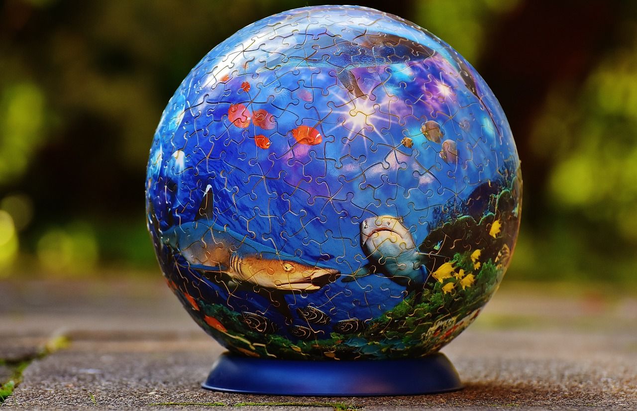 紅龍魚品牌等級排名表最新圖片(紅龍魚最好的品種在哪里_) 觀賞魚百科 第2張 紅龍魚品牌等級排名表最新圖片(紅龍魚最好的品種在哪里_) 紅龍魚品牌等級排名表最新圖片(紅龍魚最好的品種在哪里_) 觀賞魚百科 第2張