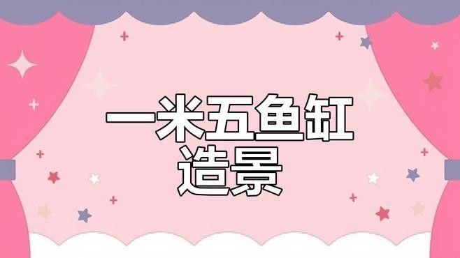 龍魚缸造景視頻教程（龍魚缸造景教程）