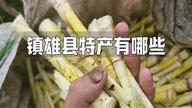 云南鎮雄土特產（云南鎮雄縣土特產）
