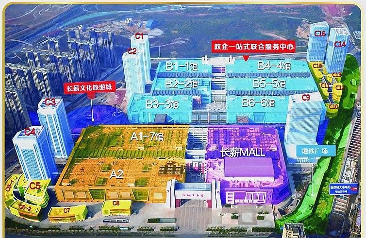 如何區分檸檬鯽的品種?,如何區分檸檬鯽品種? 龍魚百科 第1張 如何區分檸檬鯽的品種?,如何區分檸檬鯽品種? 如何區分檸檬鯽的品種?,如何區分檸檬鯽品種? 龍魚百科 第1張