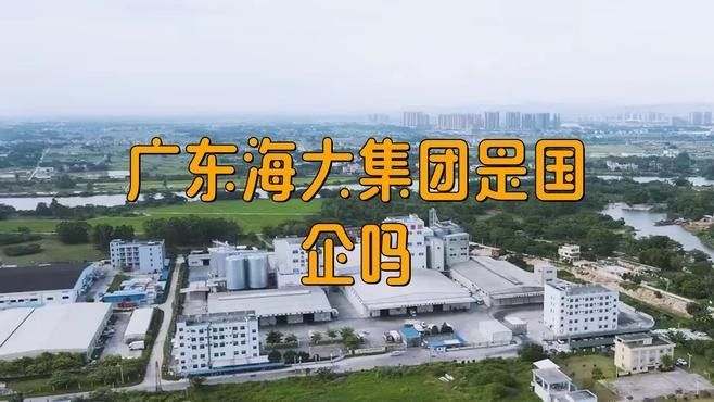 海龍魚飼料的價格如何（海龍魚飼料價格動態(tài)分析）
