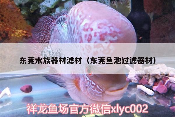 如何快速接通金龍魚24小時服務熱線？（如何快速接通金龍魚24小時服務熱線）