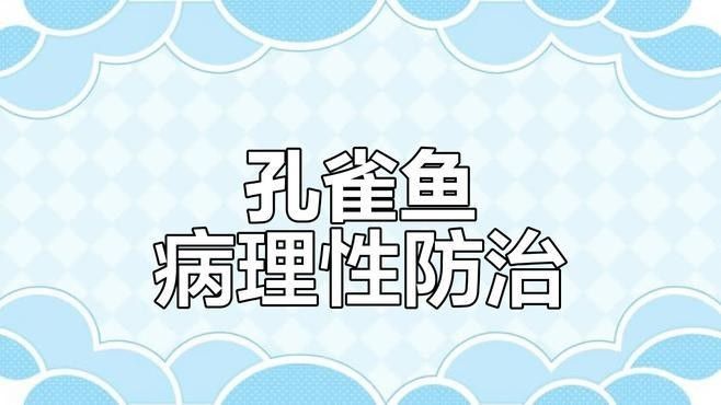 孔雀龍魚如何飼養？（孔雀龍魚的飼養指南）