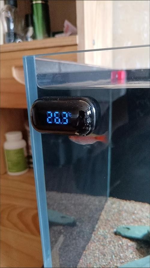 博世龍魚缸水溫表有哪些型號？（博世龍魚缸水溫表具體型號信息） 博世龍魚缸水溫表有哪些型號？（博世龍魚缸水溫表具體型號信息） 龍魚百科 第4張
