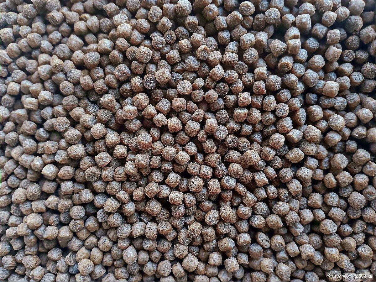 如何判斷金龍魚(yú)專用飼料的質(zhì)量