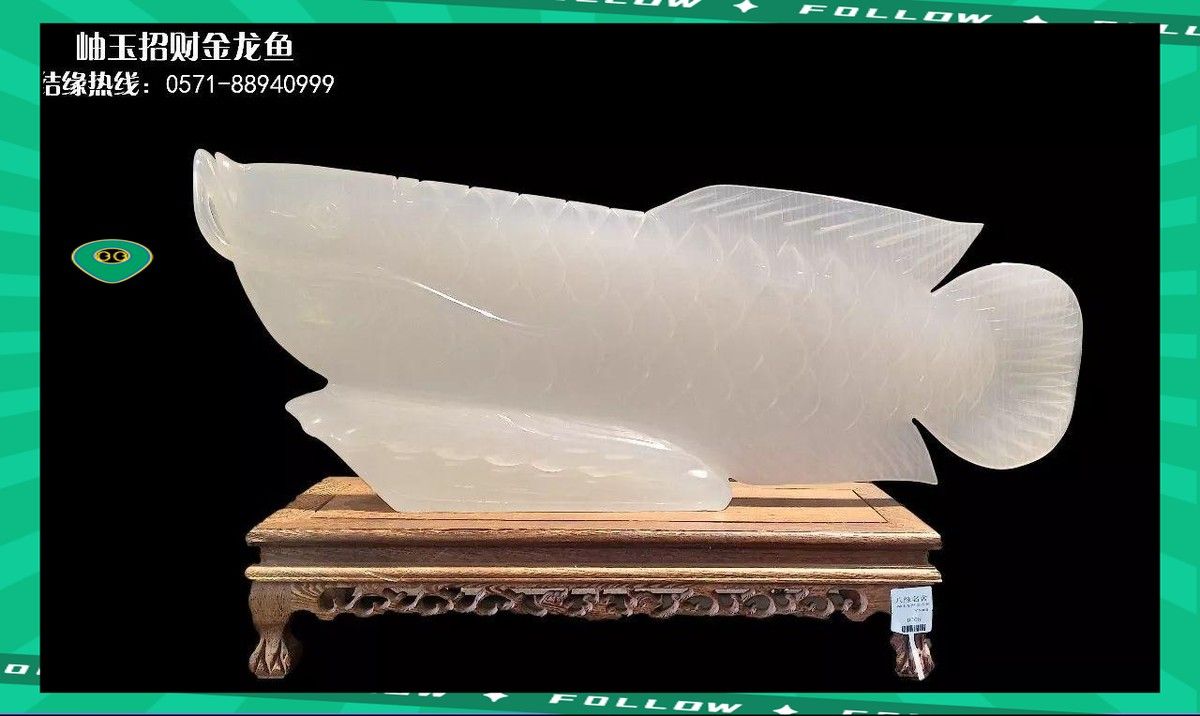 龍魚鎮宅需要多久見效 龍魚鎮宅需要多久見效 龍魚百科 第4張
